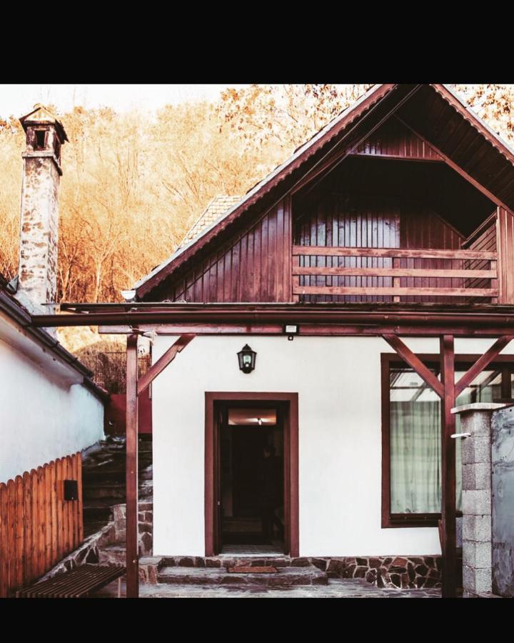 הוילה סיגישוארה Sedra House מראה חיצוני תמונה